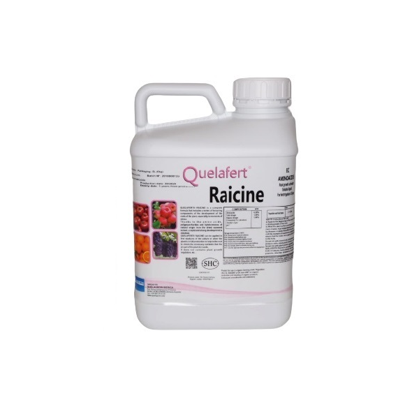 Raicine - Seaweed and Amino Acid Fertilizer