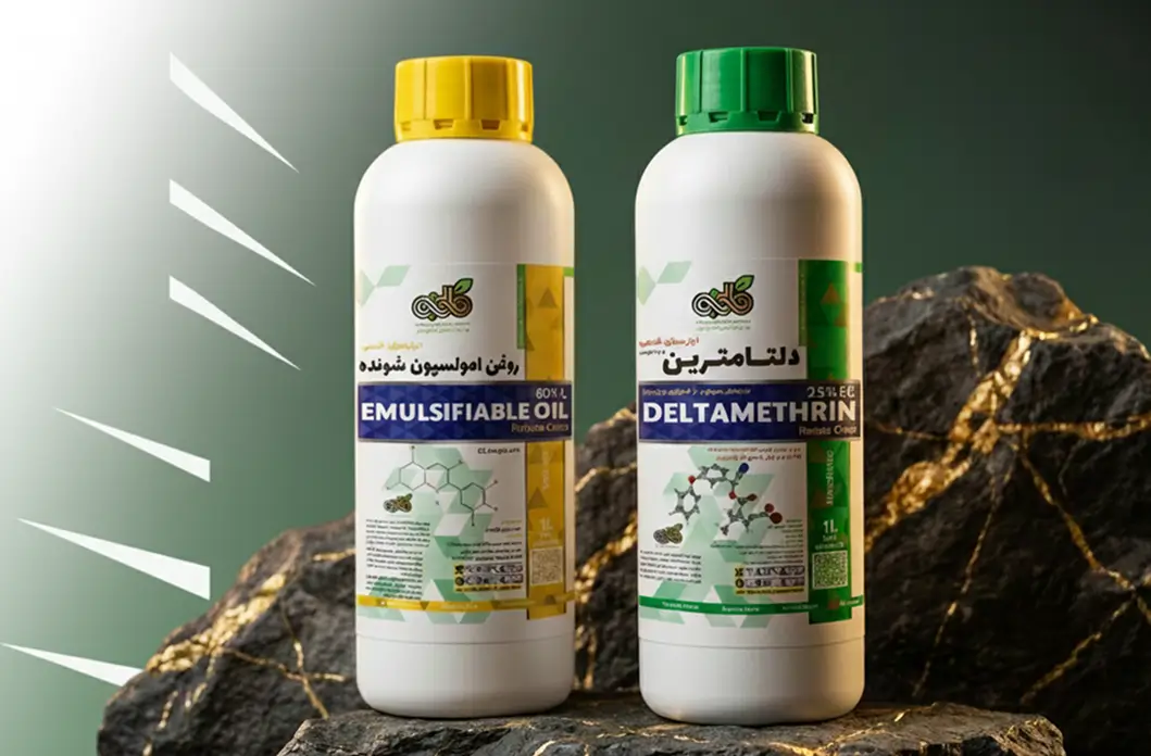 Product Spotlight