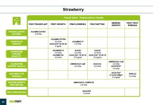 AGAFERT Catalogue 2020_English(1)-39-56_page-0004