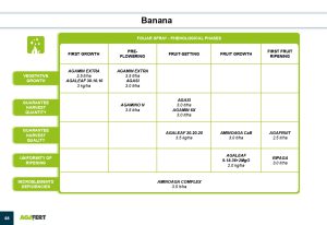 AGAFERT Catalogue 2020_English(1)-39-56_page-0010