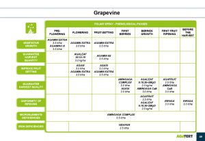 AGAFERT Catalogue 2020_English(1)-39-56_page-0011