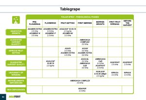 AGAFERT Catalogue 2020_English(1)-39-56_page-0012