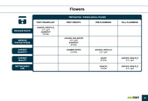 AGAFERT Catalogue 2020_English(1)-39-56_page-0015