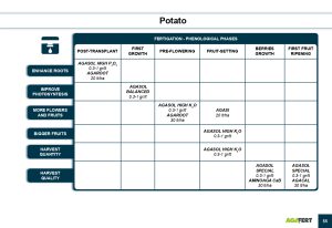 AGAFERT Catalogue 2020_English(1)-39-56_page-0017